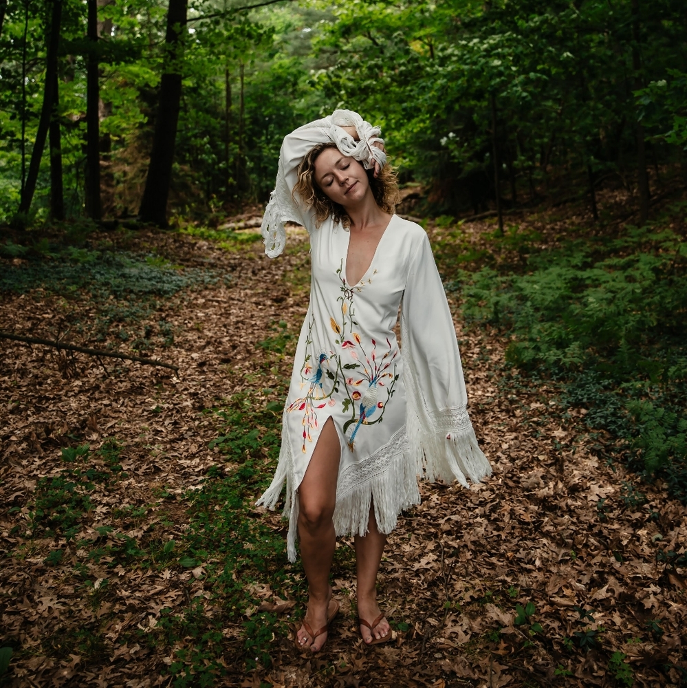 Embroidered fringe dress